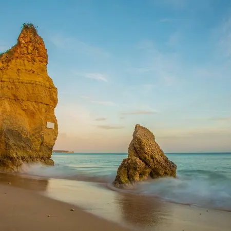 Apartment T1 Oasis Mar - Ocean View With 2 Pools & Garden *